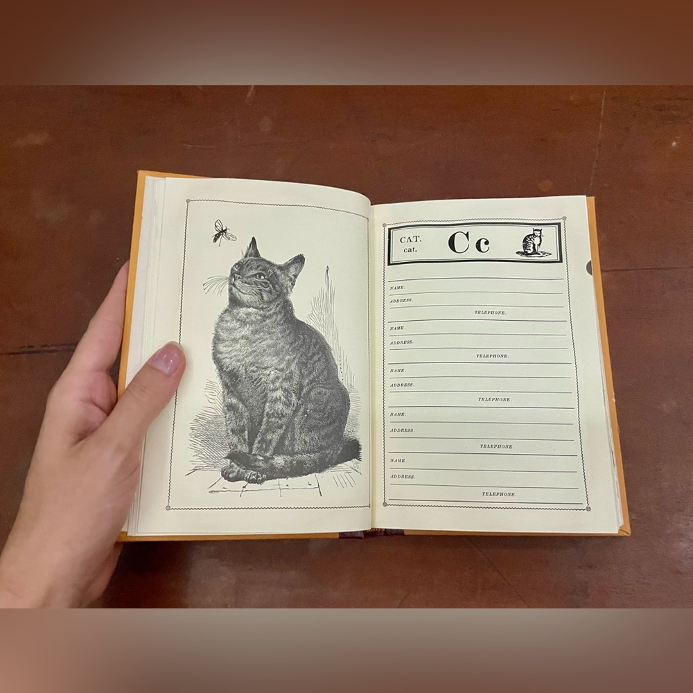 McGuffey’s illustrated addres book